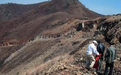 甘肅下载黄瓜视频包括哪些內容 甘肅下载黄瓜视频包括哪些內容